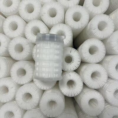 PP Capsule Filter for Water Treatment with Customizable Micron, Standard NPT Interfaces and Polypropylene Construction